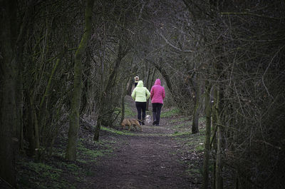 Rear view of women walking on footpath amidst trees in forest