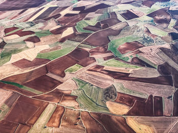 High angle view of agricultural land