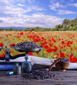 Red berries on table in field against sky