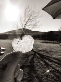 Close-up of hand holding plant against sky