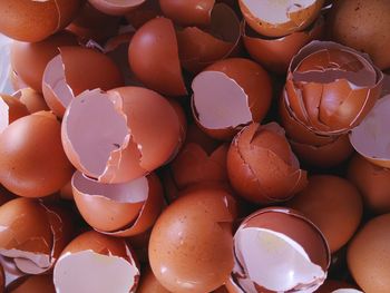 Full frame shot of egg shells