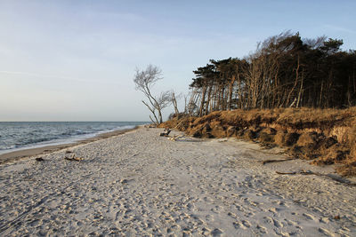 Scenic view of beach against sky