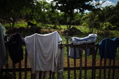 Clothes drying on field against trees