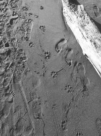 High angle view of footprints on beach