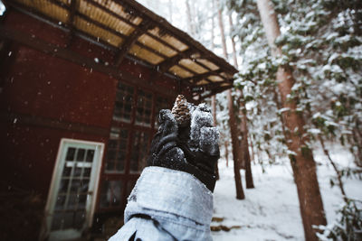 Cropped hand holding pine cone against house during winter