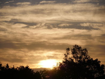 Silhouette trees against sky at sunset