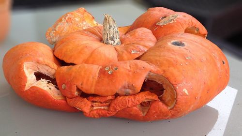 Close-up of pumpkin pumpkins