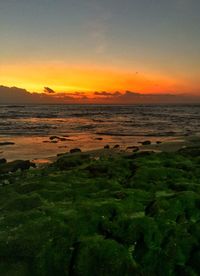 Scenic view of sea at sunset