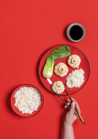 Directly above shot of person holding drink against red background