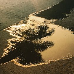 Scenic view of beach against sky during sunset