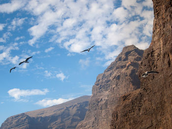 Low angle view of seagulls flying over mountain against sky