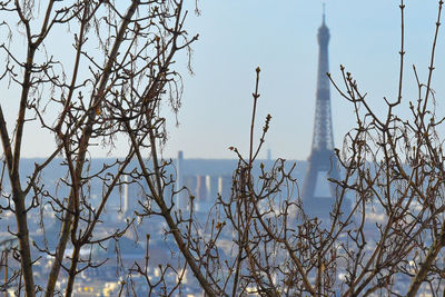 Bare tree against sky