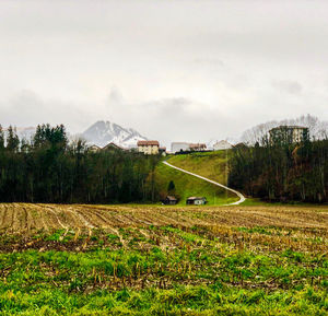 Scenic view of field against sky