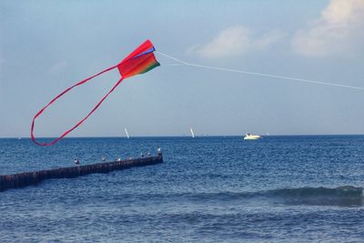 Sailboat sailing in sea