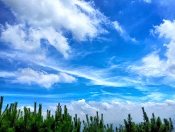 Low angle view of trees against cloudy sky