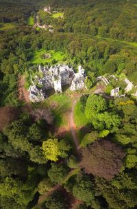 High angle view of trees on landscape