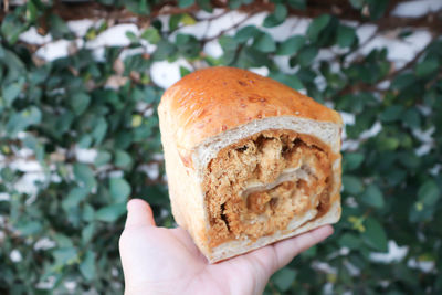 Close-up of hand holding bread