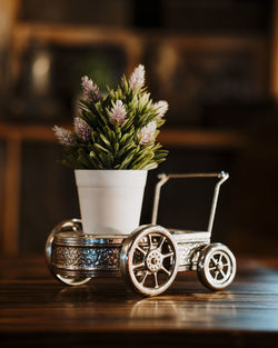 Close-up of potted plant on table
