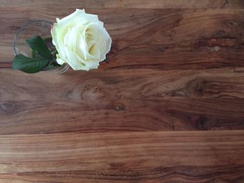 Close-up of flower on table