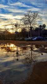 Reflection of bare trees in puddle during sunset