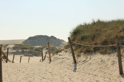 Rear view of horse on beach against clear sky