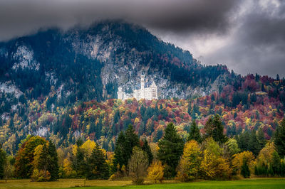 Scenic view of forest against sky during autumn