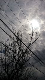 Low angle view of silhouette bare trees against sky