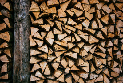 Close-up of stacked logs