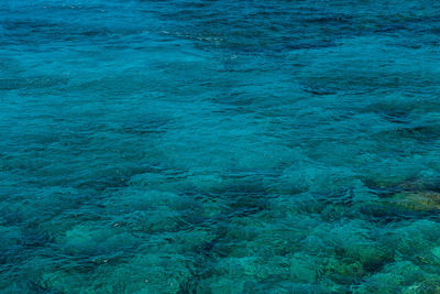 Natural background of transparent, emerald, turquoise sea water