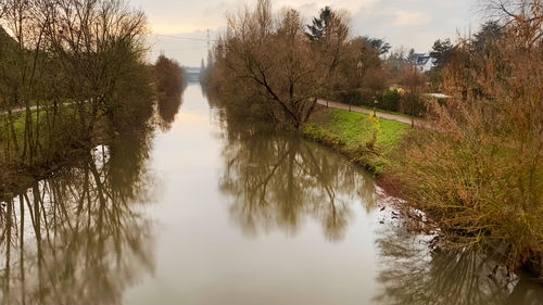 Canal amidst trees against sky