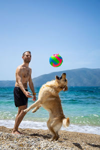 Two dogs on beach