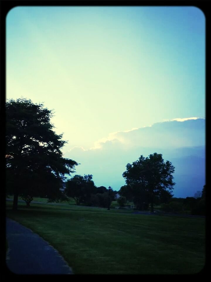 tree, transfer print, grass, landscape, sky, field, tranquil scene, tranquility, auto post production filter, scenics, beauty in nature, nature, blue, growth, grassy, green color, sunlight, outdoors, day, idyllic