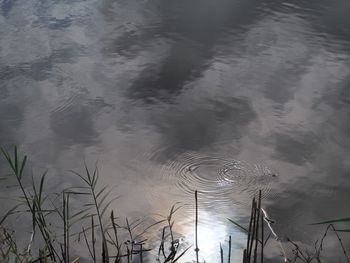 High angle view of calm lake