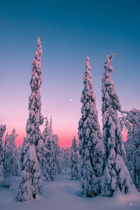 Snow covered landscape against sky during sunset