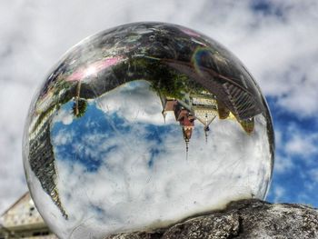 Close-up of fish against sky