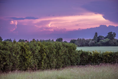 Scenic view of field against cloudy sky