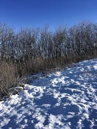 Frozen landscape against sky