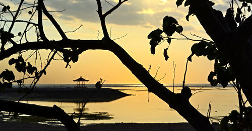 Silhouette trees on beach against sky during sunset