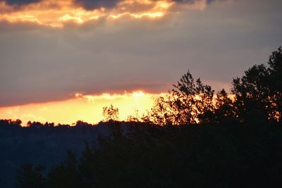 Silhouette trees against dramatic sky during sunset