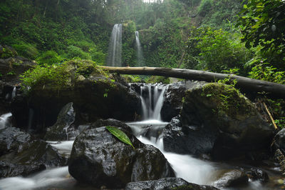 Waterfall in forest