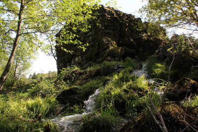 Scenic view of waterfall in forest against sky