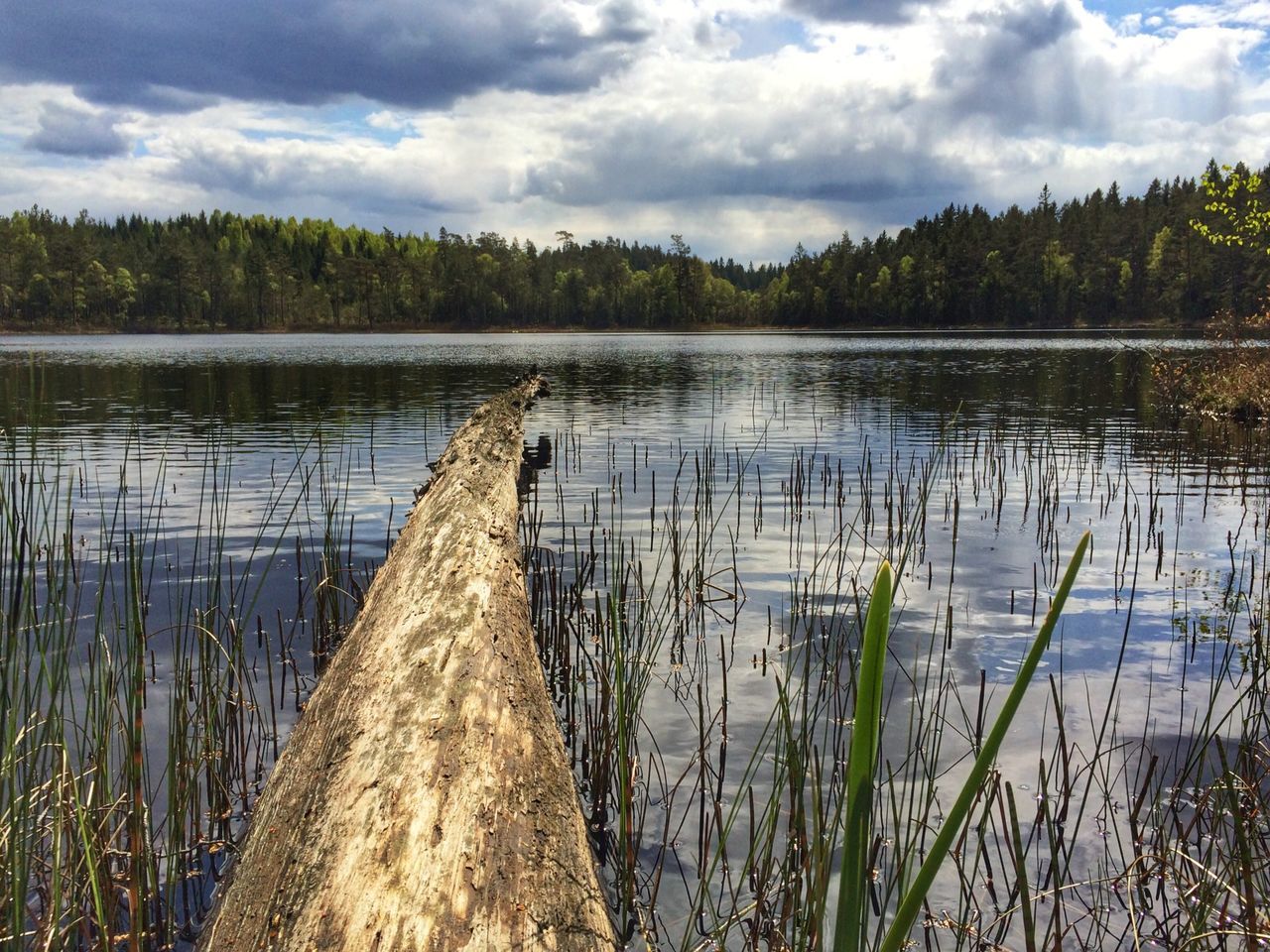 water, sky, cloud - sky, lake, tranquility, tranquil scene, reflection, cloudy, cloud, nature, plant, tree, scenics, beauty in nature, river, grass, day, growth, outdoors, no people