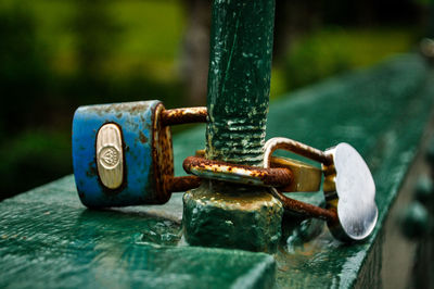 Close-up of closed padlocks on metallic gate