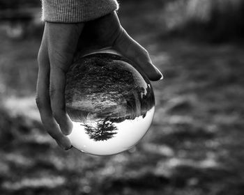 Black and white close-up of hand holding ball on field showing tree in the evening sun