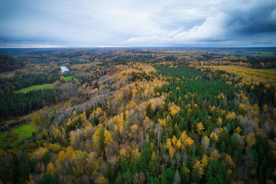 environment
