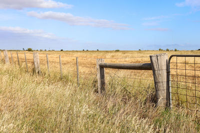 Fence and gate in field