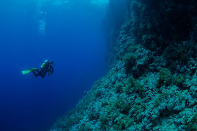 Man swimming in sea