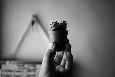 Cropped hand of person holding potted plant against wall