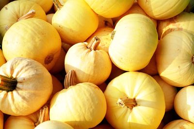 Full frame shot of pumpkins in market