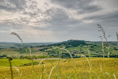 Scenic view of farm against sky